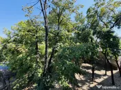 Apartament 3 Camere | Etaj 2 | Decomandat | Dimitrie Cantemi 