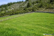 7.000 mp, pozitie spectaculoasa, fara vecini, Fundatica, Bra 