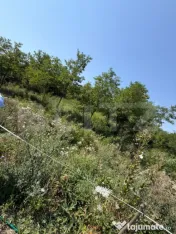 Teren intravilan, 1.748 mp, zona Crairât 