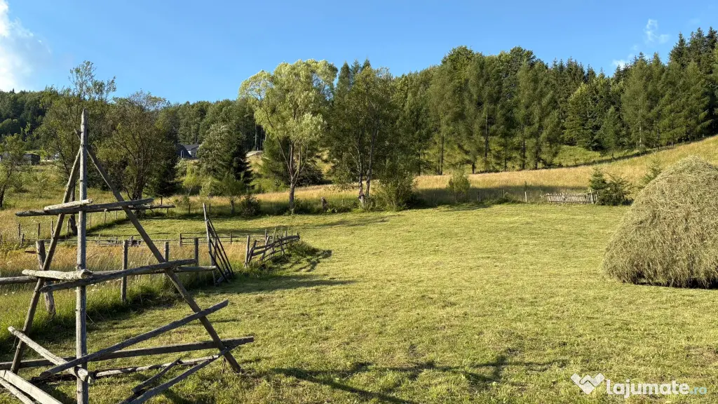 Teren EXTRAVILAN de 3000 de mp Zona Valea Doftanei