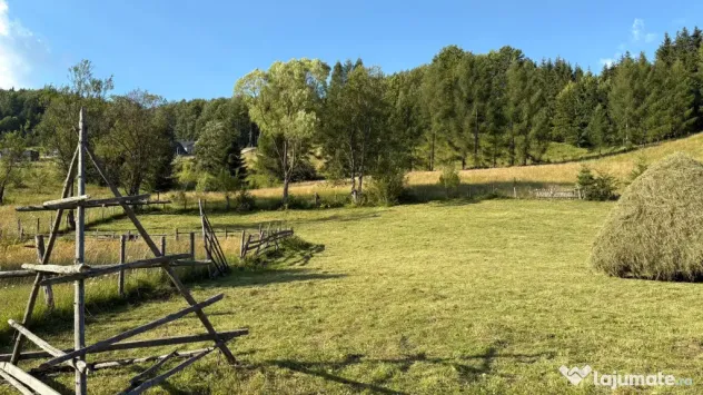 Teren EXTRAVILAN de 3000 de mp Zona Valea Doftanei