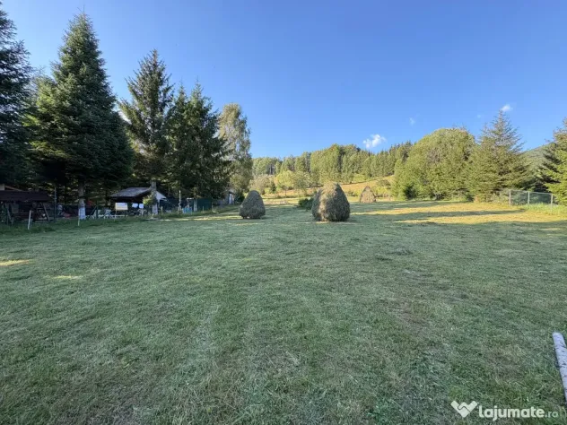 Teren EXTRAVILAN de 3000 de mp Zona Valea Doftanei