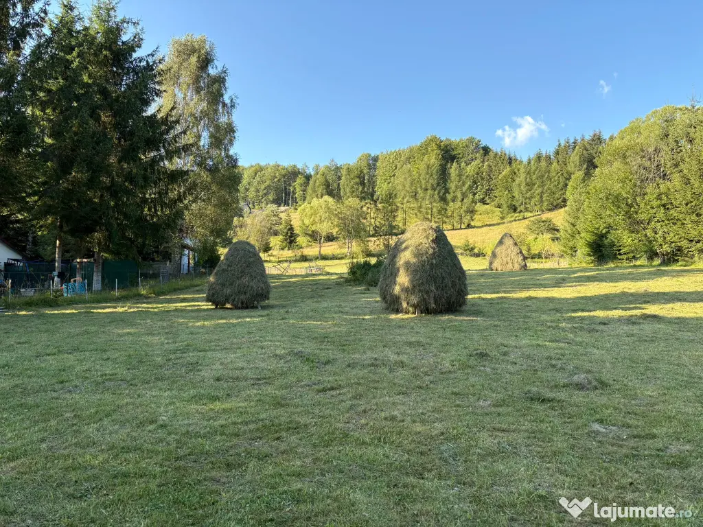 Teren EXTRAVILAN de 3000 de mp Zona Valea Doftanei