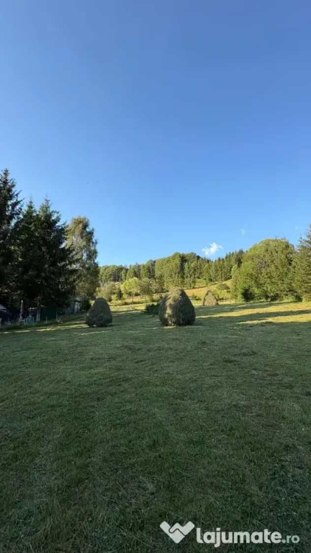 Teren EXTRAVILAN de 3000 de mp Zona Valea Doftanei