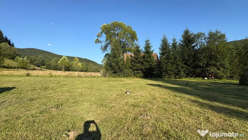 Teren EXTRAVILAN de 3000 de mp Zona Valea Doftanei