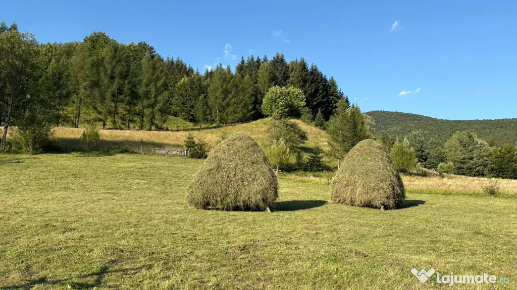 Teren EXTRAVILAN de 3000 de mp Zona Valea Doftanei