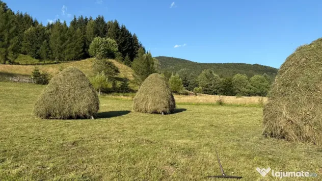 Teren EXTRAVILAN de 3000 de mp Zona Valea Doftanei