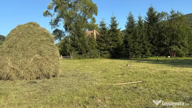 Teren EXTRAVILAN de 3000 de mp Zona Valea Doftanei