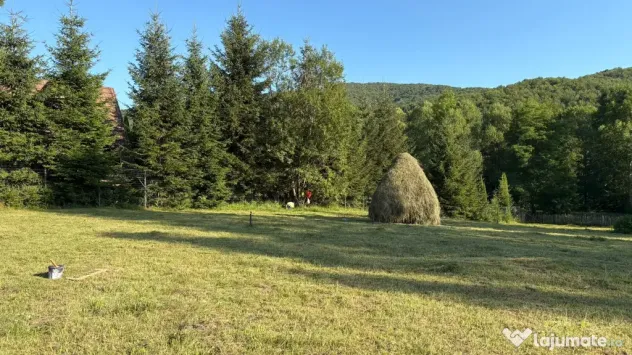 Teren EXTRAVILAN de 3000 de mp Zona Valea Doftanei