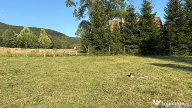 Teren EXTRAVILAN de 3000 de mp Zona Valea Doftanei