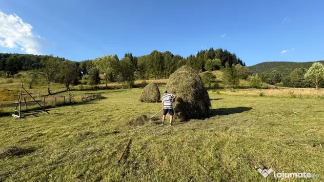 Teren EXTRAVILAN de 3000 de mp Zona Valea Doftanei