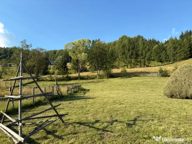 Teren EXTRAVILAN de 3000 de mp Zona Valea Doftanei