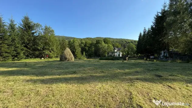 Teren EXTRAVILAN de 3000 de mp Zona Valea Doftanei