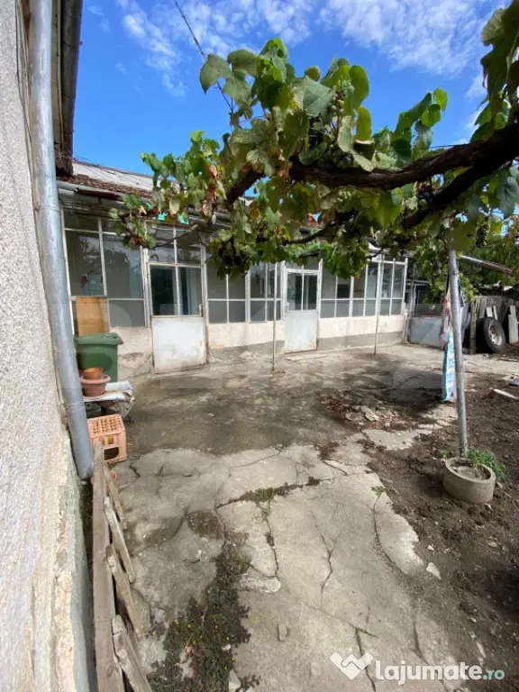 Casa cu teren 1079mp front de 18m Timisoara Fratelia - Timisoara (Timis)