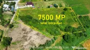 TEREN 7500 MP PRETABIL DEZVOLTARE REZIDENTIALA