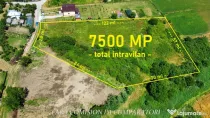 TEREN 7500 MP PRETABIL DEZVOLTARE REZIDENTIALA