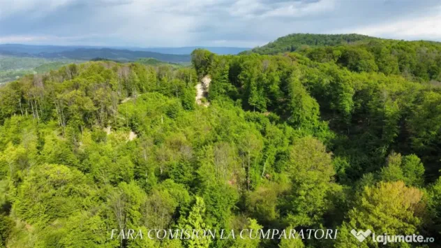 ZONA SUPERBA - TERENURI DE VANZARE - Baile Govora (Valcea)