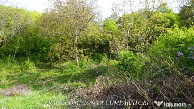 ZONA SUPERBA - TERENURI DE VANZARE - Baile Govora (Valcea)