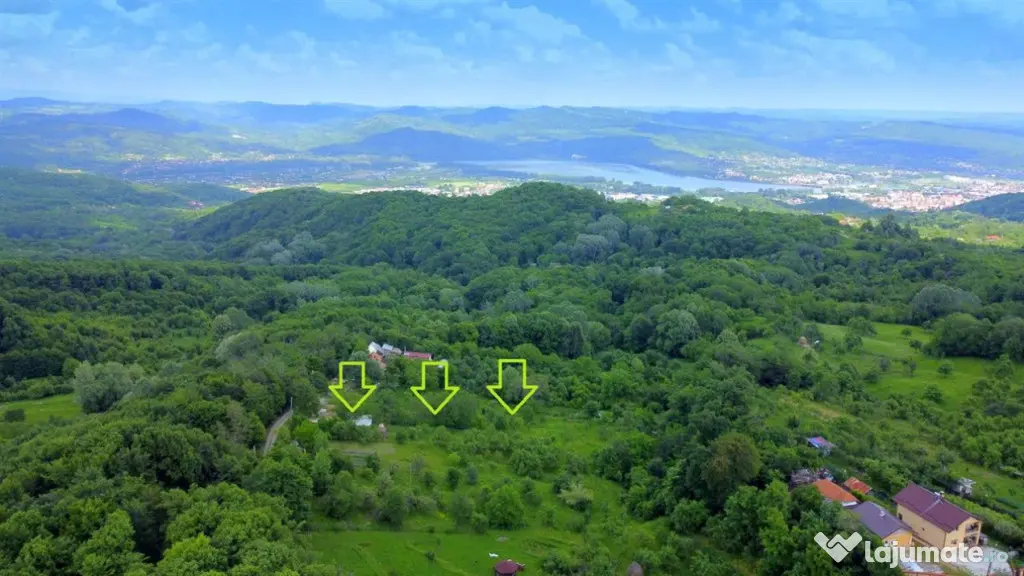 DEALUL MALULUI TEREN 1500 MP INCONJURAT DE PADURE - Ramnicu Valcea (Valcea)