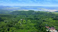 DEALUL MALULUI TEREN 1500 MP INCONJURAT DE PADURE