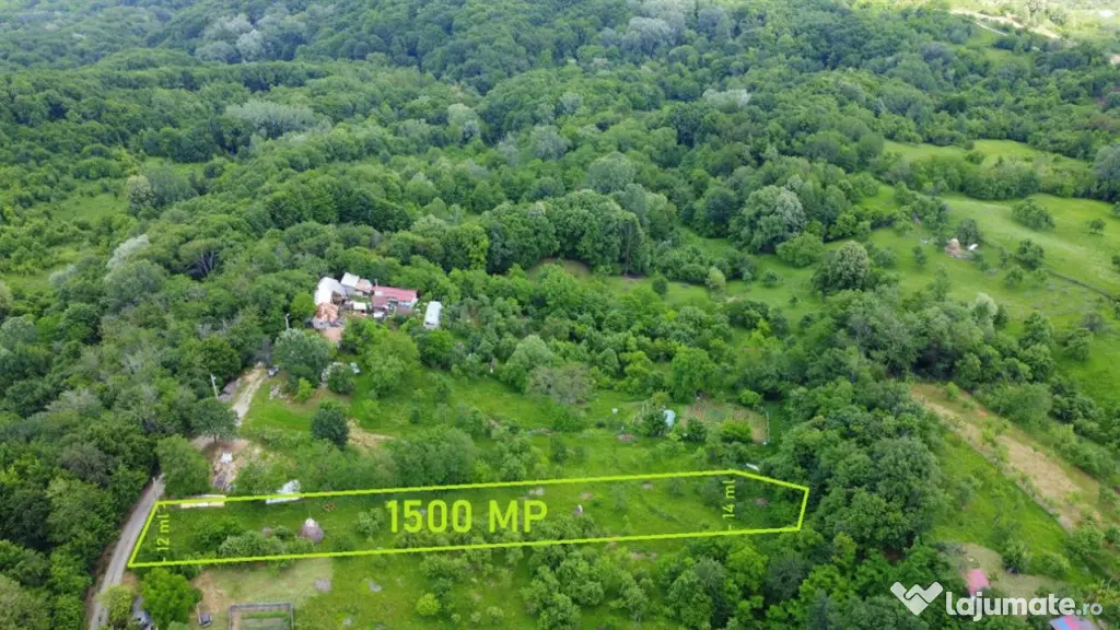 DEALUL MALULUI TEREN 1500 MP INCONJURAT DE PADURE - Ramnicu Valcea (Valcea)
