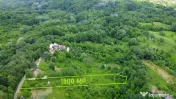 DEALUL MALULUI TEREN 1500 MP INCONJURAT DE PADURE
