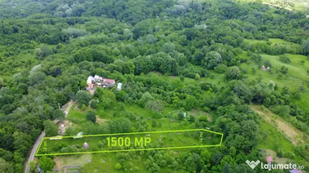 DEALUL MALULUI TEREN 1500 MP INCONJURAT DE PADURE - Ramnicu Valcea (Valcea)