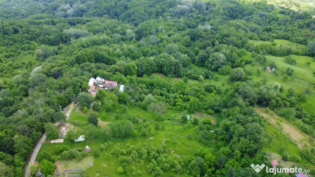 DEALUL MALULUI TEREN 1500 MP INCONJURAT DE PADURE - Ramnicu Valcea (Valcea)