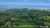DEALUL MALULUI TEREN 1500 MP INCONJURAT DE PADURE
