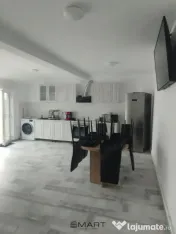 Casa cu doua apartamente si curte zona Turnisor 