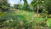 DE VÂNZARE – CASĂ LA 19 KM DE ROMAN