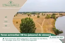 Teren extravilan 118 ha(pășune) cu deschidere la râul Mur