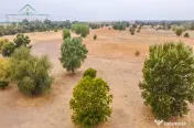 Teren extravilan 118 ha(pășune) cu deschidere la râul Mur 