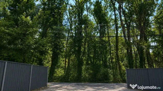 Teren Aleea Teisani padurea Baneasa - Bucuresti (Bucuresti-Ilfov)