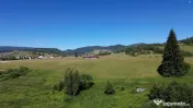 TEREN IN BUCOVINA DE V#194;NZARE | #536;ARU DORNEI VATRA DOR 
