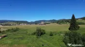 TEREN IN BUCOVINA DE V#194;NZARE | #536;ARU DORNEI VATRA DOR 