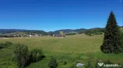 TEREN IN BUCOVINA DE V#194;NZARE | #536;ARU DORNEI VATRA DOR 