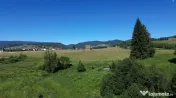 TEREN IN BUCOVINA DE V#194;NZARE | #536;ARU DORNEI VATRA DOR 