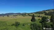 TEREN IN BUCOVINA DE V#194;NZARE | #536;ARU DORNEI VATRA DOR 