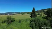 TEREN IN BUCOVINA DE V#194;NZARE | #536;ARU DORNEI VATRA DOR 