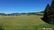 TEREN IN BUCOVINA DE V#194;NZARE | #536;ARU DORNEI VATRA DOR 