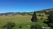 TEREN IN BUCOVINA DE V#194;NZARE | #536;ARU DORNEI VATRA DOR 