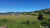 TEREN IN BUCOVINA DE V#194;NZARE | #536;ARU DORNEI VATRA DOR 