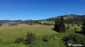 TEREN IN BUCOVINA DE V#194;NZARE | #536;ARU DORNEI VATRA DOR 