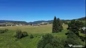 TEREN IN BUCOVINA DE V#194;NZARE | #536;ARU DORNEI VATRA DOR 