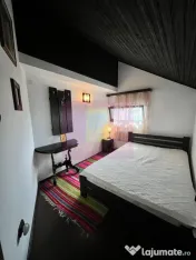 Vila cu 6 camere de vanzare in Brebu 