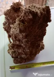 Tuf calcaros roca vulcanica lava rock 35 cm.