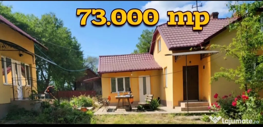Casa cu teren 7.3 hectare Zvorastea Suceava