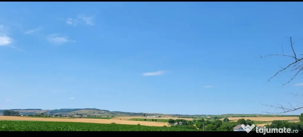 Casa cu teren 7.3 hectare Zvorastea Suceava