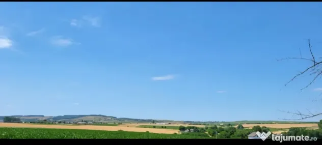 Casa cu teren 7.3 hectare Zvorastea Suceava